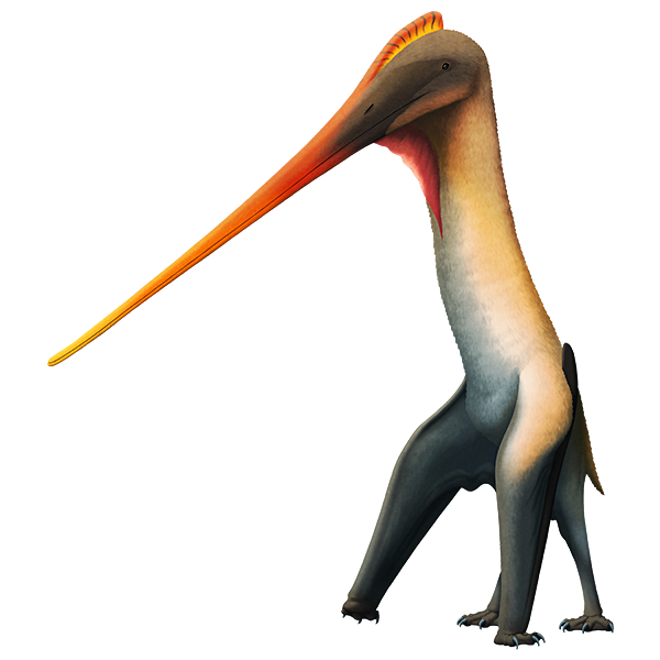 Species New to Science: [Paleontology • 2021] Leptostomia begaaensis • A  Long-billed, Possible Probe-feeding Pterosaur (Pterodactyloidea:  ?Azhdarchoidea) from the mid-Cretaceous of Morocco, North Africa