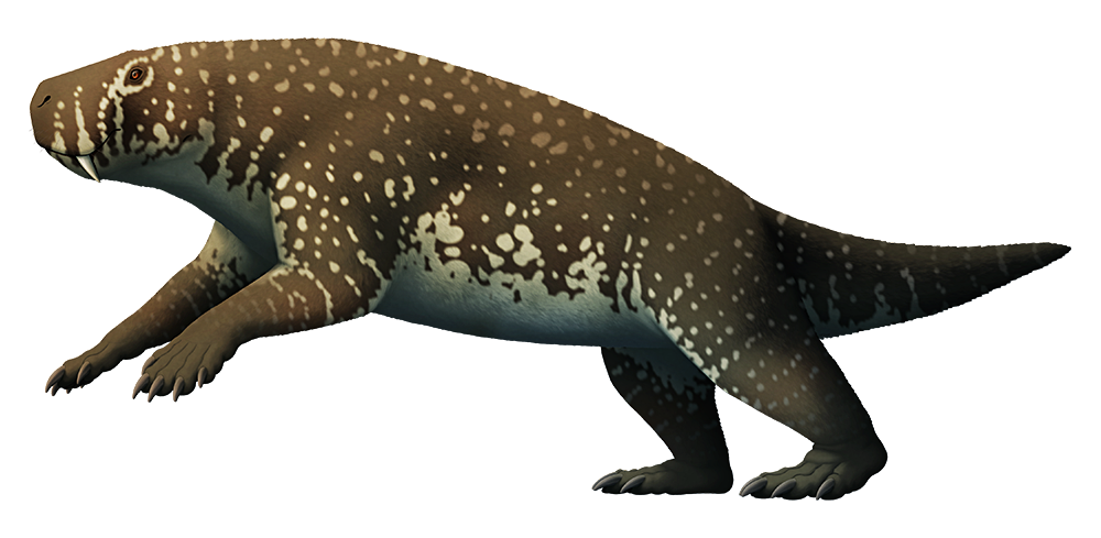 An illustration of an extinct gorgonopsian, a quadrupedal predatory animal related to early mammals. It's a chunky creature vaguely resebling a bear-hippo, with long saberteeth and clawed paws.