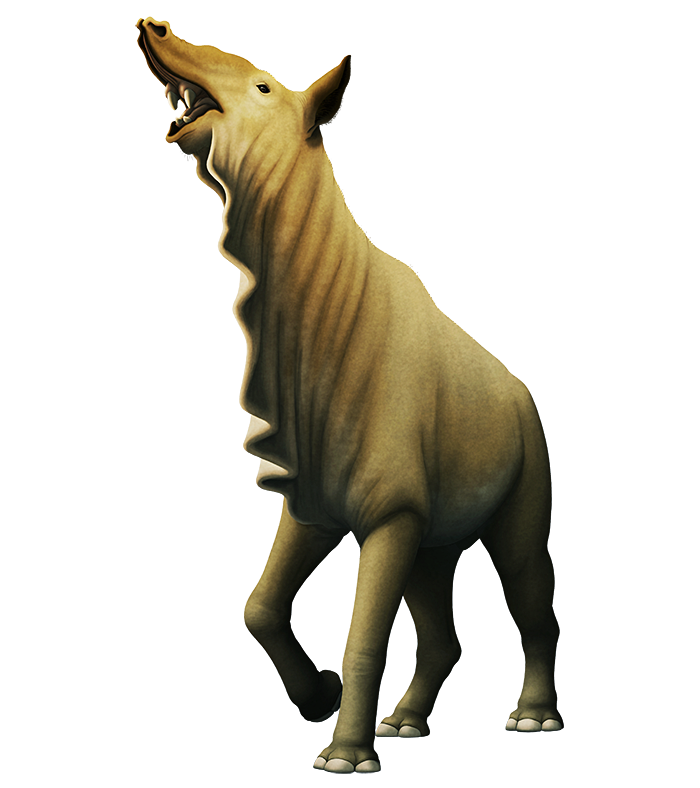 An illustration of an extinct herbivorous mammal. It's shaped rather like a giant chunky horse, with a tapir-like trunk on its snout and three-toed hoofed feet. There's a speculative fleshy dewlap along the underside of its throat.