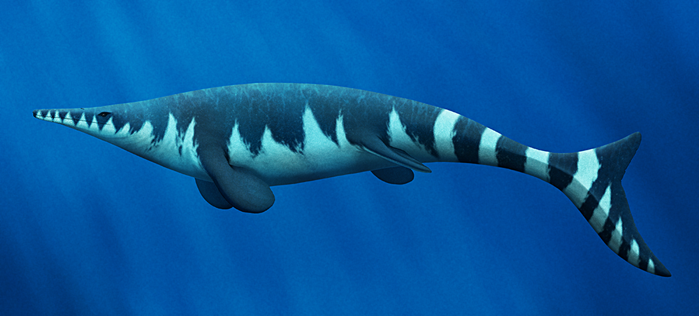 An illustration of an extinct mosasaur, a marine lizard. It has a long narrow snout with retracted nostrils, a streamlined body, four flipper-like limbs, and a tail ending in a crescent-shaped vertical fin.