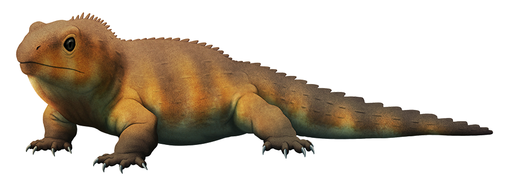 An illustration of an extinct lizard-like reptile. It has a row of short spines down its back, and a proportionally big head with large eyes.