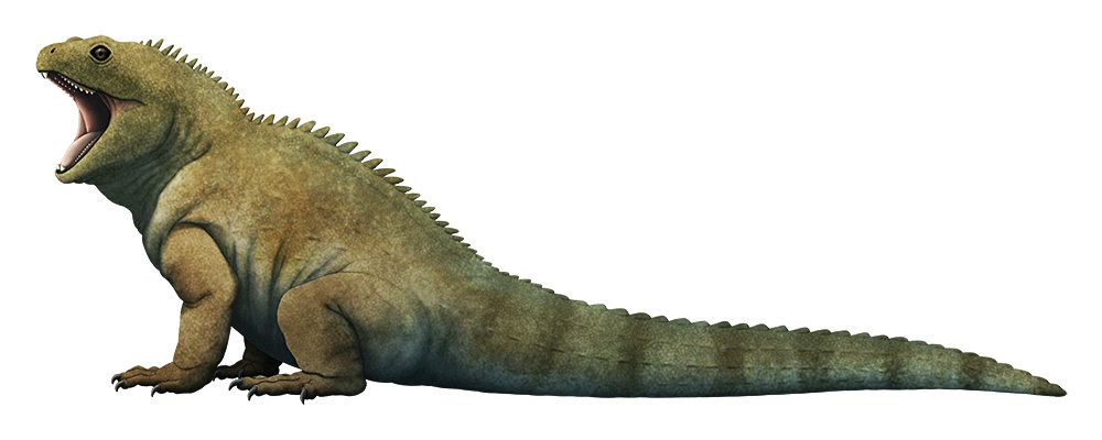 An illustration of an extinct lizard-like reptile. It has a row of short spines down its back, and its mouth is open showing "buck teeth" at the front of its jaws and multiple rows of teeth further back.