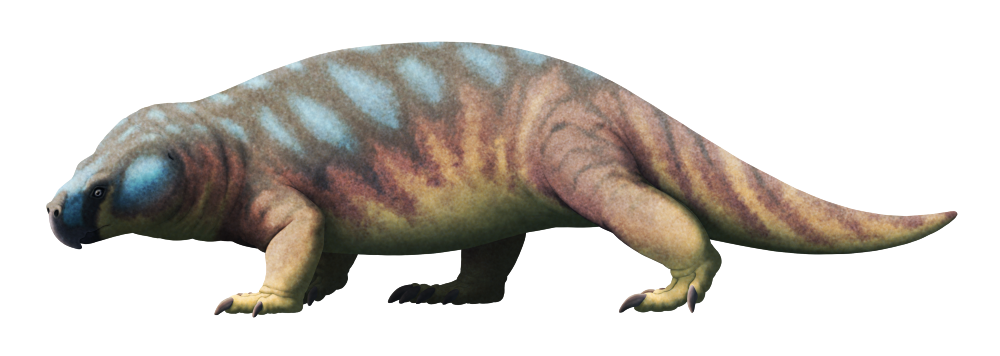 An illustration of an extinct reptile. It has a tall narrow snout with a hooked parrot-like beak, and wide well-muscled cheeks. Its chunky lizard-like body has a semi-sprawling posture and a thick tail, and there are large claws on its fingers and toes.