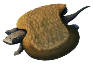 An illustration of an extinct marine reptile. It resembles a turtle with a wide squared-off beak, small spikes on the back of its head, and a wide carapace shaped vaguely like a horseshoe crab.