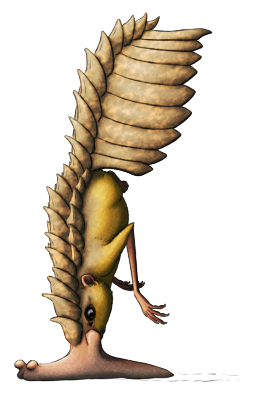 A drawing of a "snouter", a fictional speculative animal. It's a shrew-like creature with long forelimbs and small vestigial hind limbs, its body covered in large spiky armor plates like a pangolin on its back and tail, while its flanks and underside are golden-furred. Its snout is modified into a bizarre fleshy locomotory organ that resembles a slug, and its "standing" vertically upright on its nose with its rear end and tail lifted high into the air.