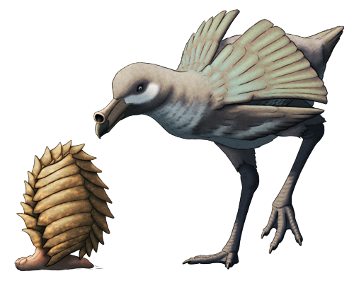 A drawing of two fictional speculative animals. One is an armor-tailed slime snouter with its body curled up into a protective spiny ball. The other is a megaphone bird, a long-legged flightless descendant of petrel seabirds.