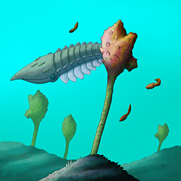 A drawing of a speculative Cambrian tunicate with extreme sexual dimorphism. The males are large stalked forms that resemble modern sea tulips, while the females are tiny tadpole-like swimming forms wiht a sucker on their underside. In the background a few females are hitching a ride on a hurdiid radiodont.