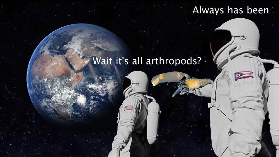 Wait it's all arthropods? Always has been.