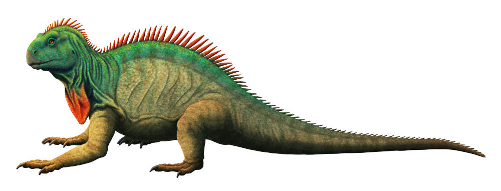 An illustration of an extinct reptile. It has a short snouted face with a toothless turtle-like beak, a lizard-like body and long tail, and a short "sailback".