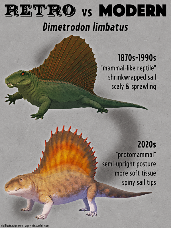 Retro vs Modern #15: Dimetrodon limbatus