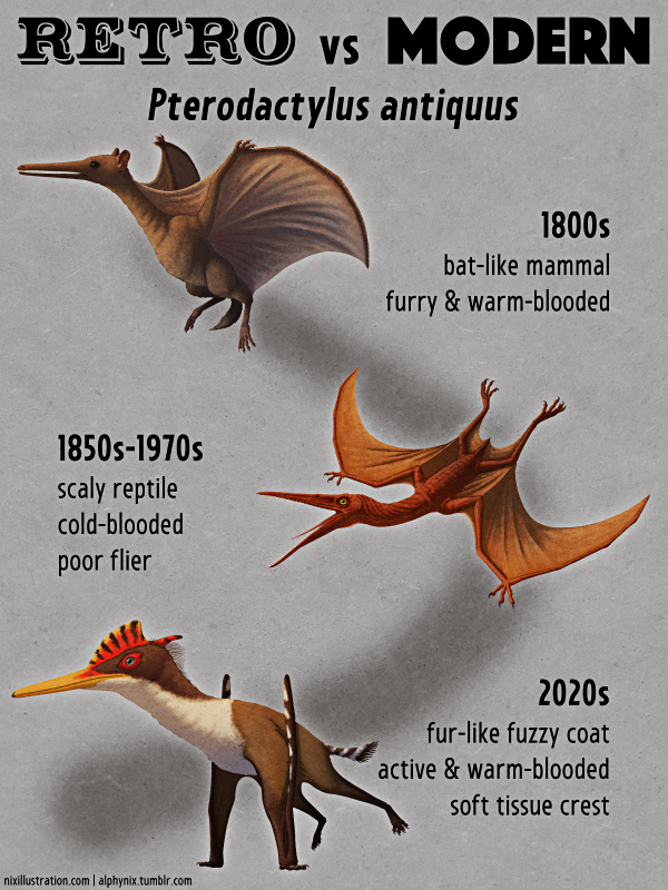 Retro vs Modern #18: Pterodactylus antiquus