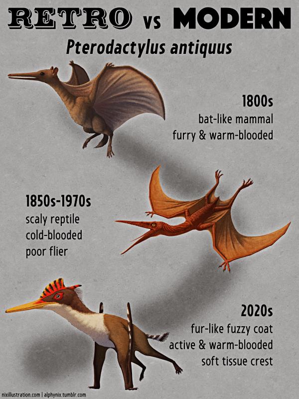 Space Dinosaurs: Archaeopteryx vs. Pterodactyl