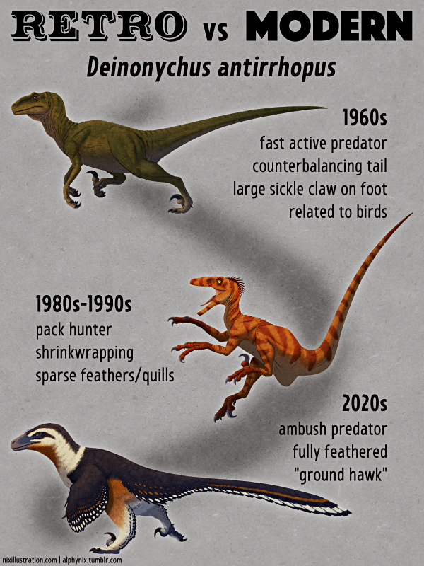 Your Favorite Artwork(s) of Your Favorite Fossil Species 21-deinonychus_antirrhopus