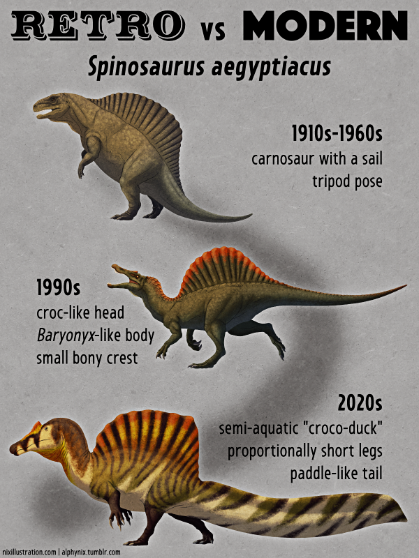 Deinocheirus mirificus, no longer an enigma