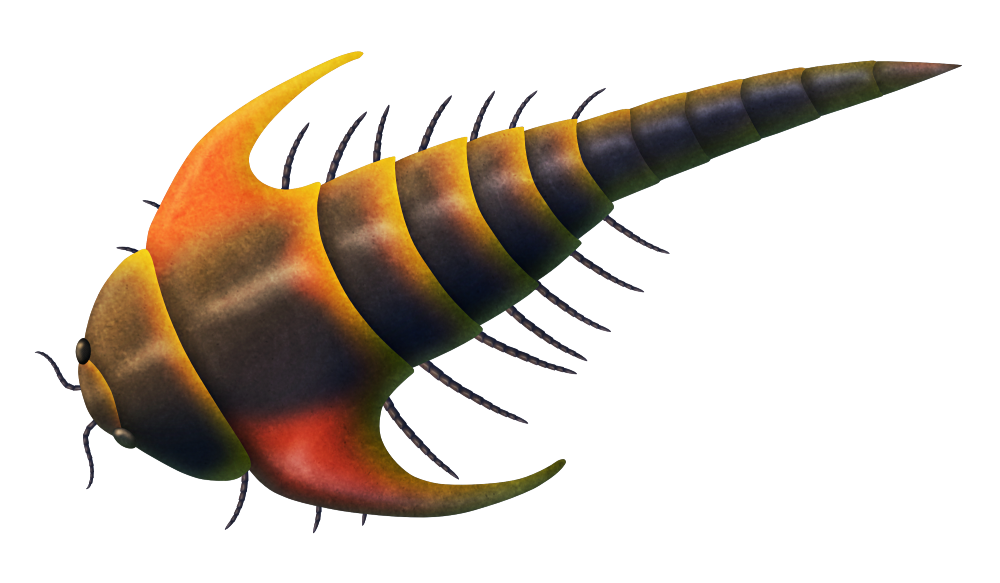 An illustration of an extinct relative of modern centipedes and millipedes. It resembles a woodlouse, with a segmented carapace, compound eyes, antennae, and ten pairs of walking legs – but it also has a segmented "tail" ending in a triangular spine, and large sickle-shaped projections on the sides of the first segment of its body that resemble swept-back wings.
