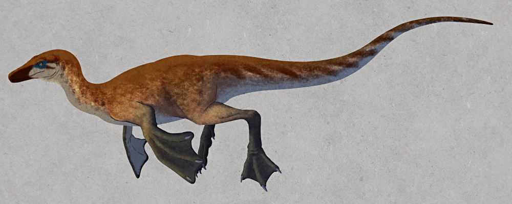 An illustration of an obsolete interpretation of a small dinosaur, depicted as semiaquatic and in a swimming pose. It has a small triangular head, an s-curved neck, large flipper-like webbed hands, duck-like webbed feet, and a long tail.