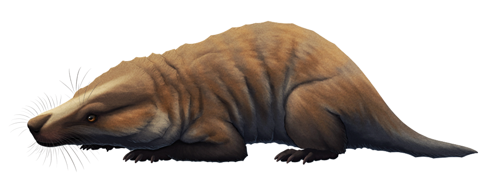 An illustration of an extinct synapsid, a distant relative of modern mammals. It's reconstructed with a speculative thick coat of fur, making it resemble a sort of earless dog-lizard.
