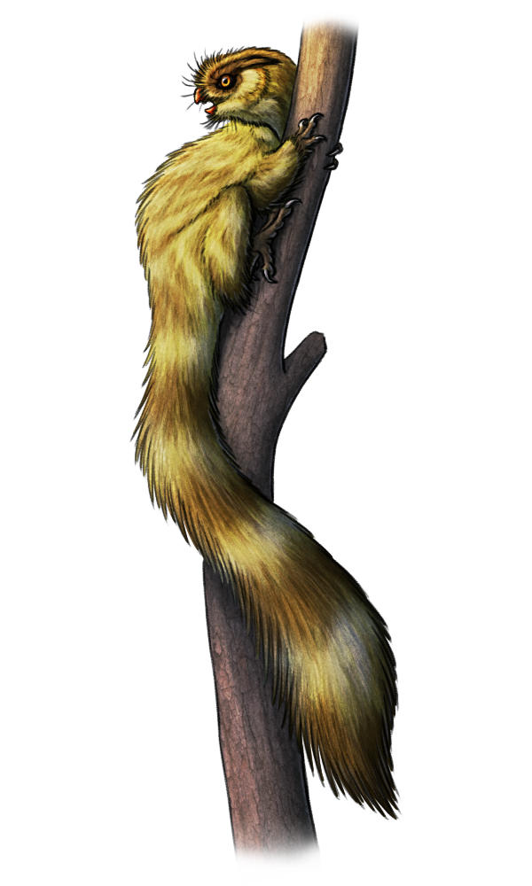 A digital illustration of a speculative tree-climbing squirrel-like dinosaur clinging onto a narrow trunk. It has an owl-like head, short arms with three-clawed hands, parrot-like feet with two forward-facing toes and two backward-facing toes, and a very long tail. Its whole body is covered in a thick fluffy coat of fur-like protofeathers.