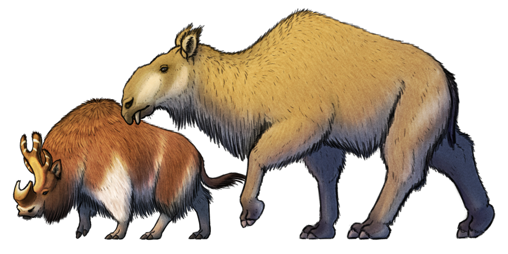 A digital illustration of two speculative hoofed mammals, descended from extinct brontotheres and paraceratheres. One resembles a hairy rhinoceros with an odd U-shaped horn on its nose and a fork-like bony "horn" on the back of its head. The other looks like a chunky camel with a moose-like bulbous nose and short downward-pointing protruding tusks.