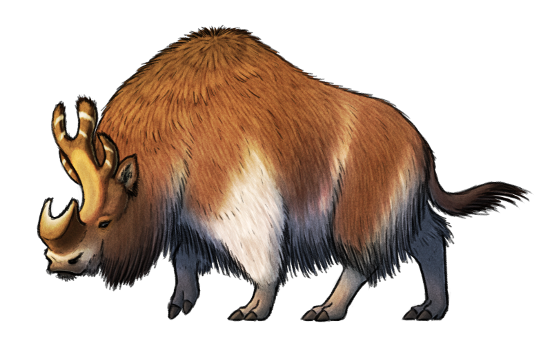 A digital illustration of a speculative hoofed mammal, descended from extinct brontotheres. It resembles a hairy rhinoceros with three-toed tapir-like feet and a humped back like a bison. Its forehead has a concave profile, and there's a U-shaped horn on its nose and a forking bony "horn" on the back of its head flanked by two more shorter curving "horns".