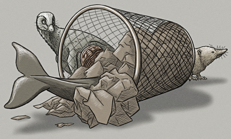 A pencil sketch of a wire mesh waste-paper basket, tipped over on its side with crumpled pieces of paper spilling out. A whale's tail and a trilobite are poking out of the trash, while a bird-like feathered dinosaur and a shrew-like mammal peer around the sides of the toppled basket.