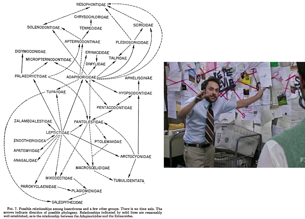 An image of a diagram from a 1967 academic paper, showing a complicated attempt to figure out the evolutionary relationships of "insectivores", with many different group names linked by arrows. For comparison next to it is the "Pepe Silvia" conspiracy wall meme.