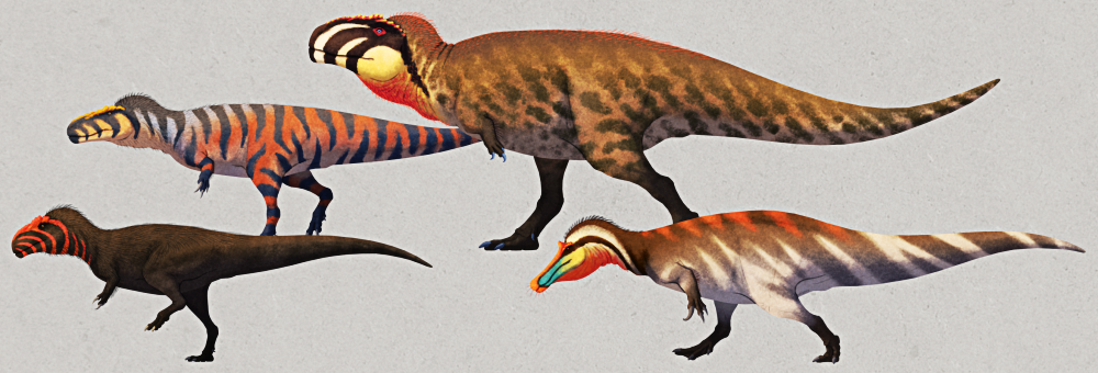 An illustration showing four different carnosaurs: Asfaltovenator, Torvosaurus, Giganotosaurus, and Baryonyx. They're all bipedal carnivorous dinosaurs with small three-clawed arms, bird-like legs, and long counterbalancing tails, but they vary in size, coloration, and most notably head shape. Asfaltovenator and Giganotosaurus have fairly typical boxy theropod heads, while Torvosaurus has a longer snout and Baryonyx has slender crocodile-like jaws.