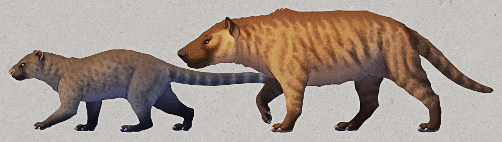 An illustration of two "creodonts". On the left is Patriofelis, an oxyaenid that looks like a mix between a weasel and a cat, with a short boxy snout, a low-slung body, a long tail, and a greyish color scheme with faint darker spots in its pelt. On the right is Hyaenodon, a hyaenodont that looks like a mix between a dog and a tiger, with a long boxy snout, a heavyset body, a cat-like tail, and a striped coat.
