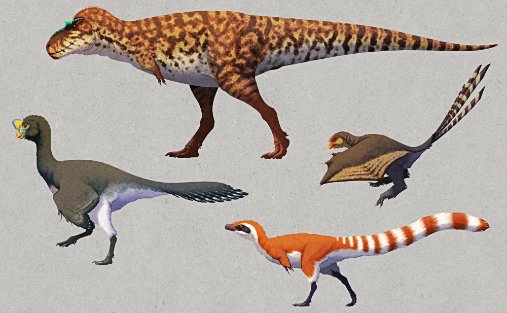 An illustration showing four examples of coelurosaurs, theropod dinosaurs closely related to birds. One the left is Citipati, a bird-like feathery oviraptorosaur that has a cassowary-like crest on its head, a short beak, a long neck, feathered wings, long slender legs, and a short tail with a feather fan at the end. It's mostly colored black and white, with bright blue and yellow face markings and small eyespots on its wing and tail feathers. At the top is Albertosaurus, a tyrannosaur with short bony crests above its eyes, tiny two-fingered hands, long bird-like legs, and a long thick counterbalancing tail. It's colored with a blotchy striped pattern of yellow, red, and dark brown, with bright blue on the crests over its eyes. On the right is Yi, a small bird-like scansoriopterygid with a fluffy feathery coat, four long tail feathers, and large membranous wings supported by a bony extension from its wrist that make it look like a dino-bat or a wyvern. It's colored brownish-grey with a yellow snout and striped markings on its neck, wings, and tail feathers. At the bottom is Sinosauropteryx, a compsognathid with a typical theropod body plan – triangular head, S-shaped neck, three-clawed hands, bird-like legs, and a long tail – but it's covered in fluffy feathers which are especially bushy on its tail. it's colored ginger-and-white, with a black raccoon-like mask marking over its eyes and a stripey tail.
