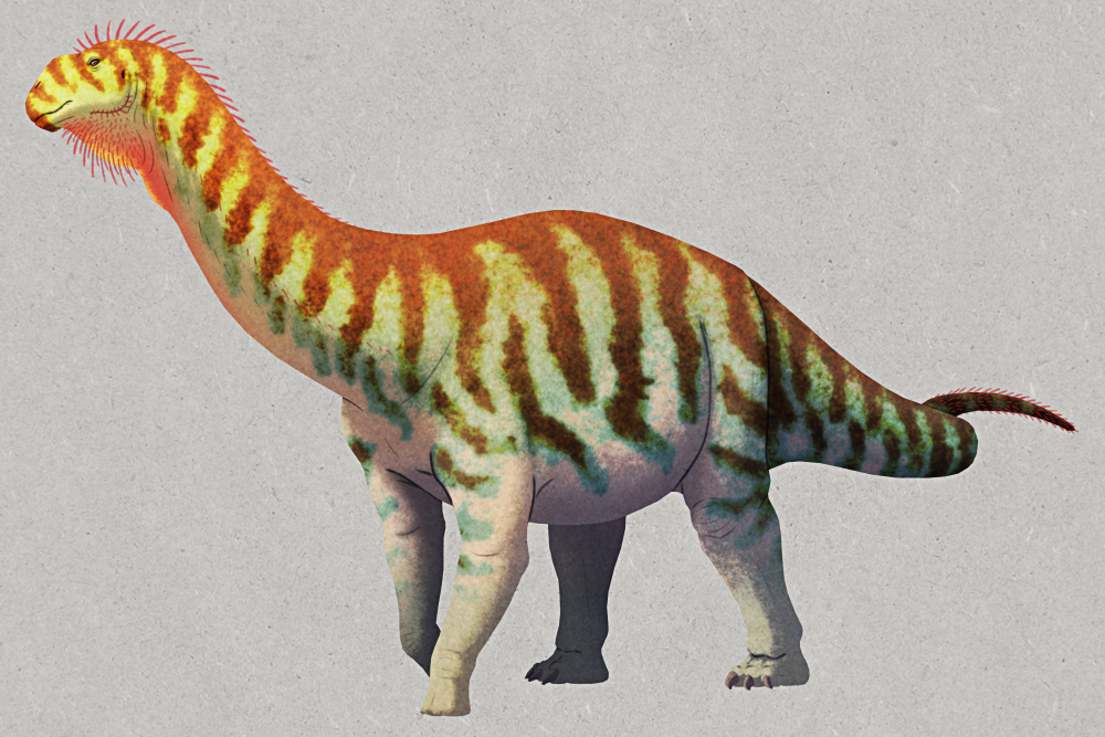 An illustration of Cetiosaurus, a sauropod dinosaur. It has a small head atop a long neck, a chunky four-legged body with mitten-like forefeet and three-clawed hindfeet, and a long tapering tail. It's colored pale teal with darker red-brown stripes and a lighter underside, with brighter yellow-green towards its head. There are also speculative red quill-like structures on its throat, cheeks, neck, and tail tip.