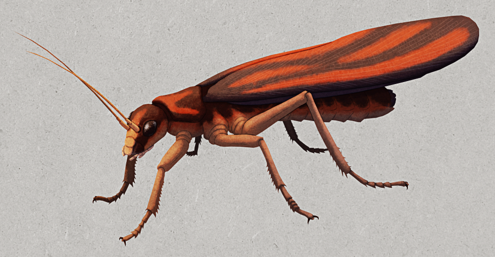 An illustration of Ctenoptilus elongatus, an extinct insect. It has long thin antennae, a small grasshopper-like head, six legs each ending in two small claws, a cylindrical abdomen, and two pairs of large wings folded over its back. It's colored red, tan, and dark brown, with striped markings on its wings.