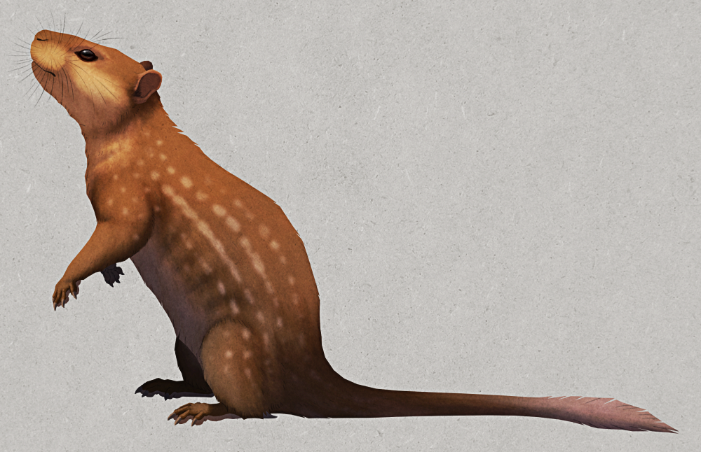 An illustration of Catopsalis, an extinct multituberculate mammal. It resembles a rodent, with a whiskery nose, large eyes, small rounded ears, short clawed legs with spurs on its ankles, and a long tufted tail. Its colored mostly brown with pale spotted markings along its sides.