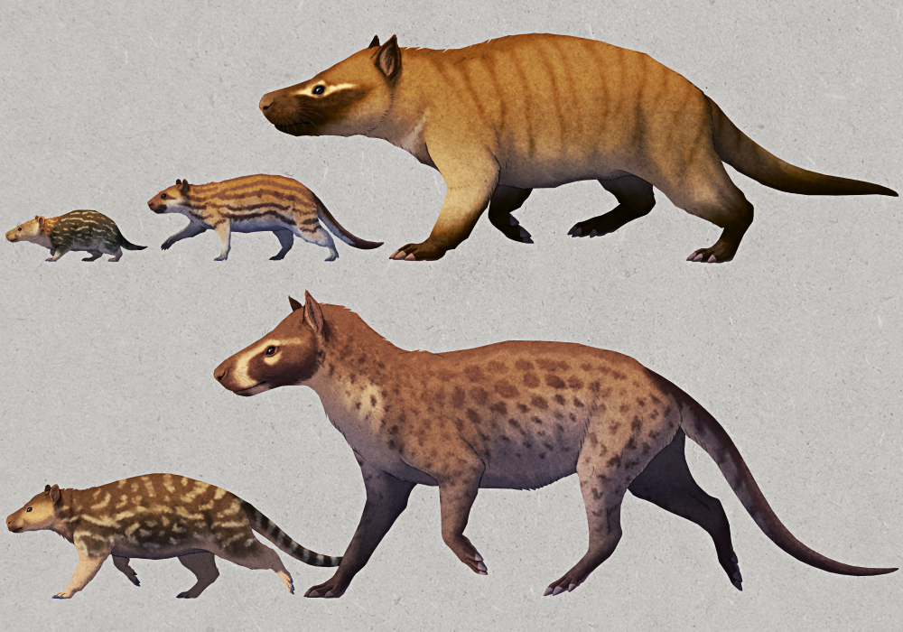 An illustration showing five different "condylarths". On the top row is Hyopsodus, a small guinea-pig-like animal with a long horse-like head; then Meniscotherium, a slightly larger animal that somewhat resembles a capybara; then the much larger Arctocyon, which has a slightly bear-like body, hoofed towes, and a dog-like head. On the bottom row is Ectoconus, a small animal with a tapir-like body and a blunt rectangular snout; then Mesonyx, a much larger dog-like animal with hoofed toes and a long tail.
