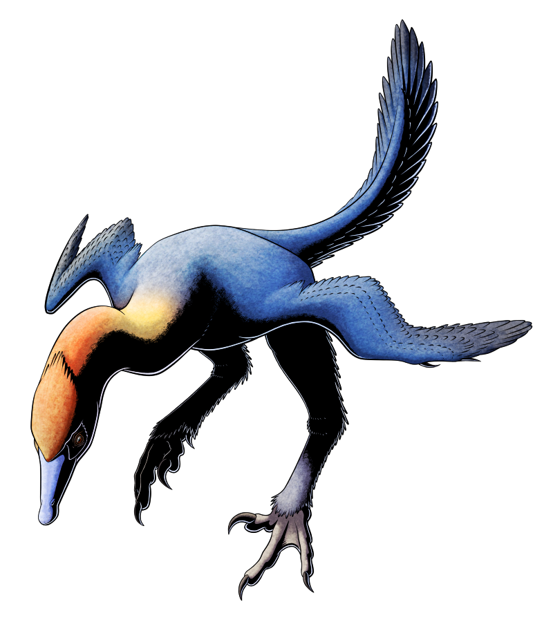 A Dinosaur A Day — Deinocheirus mirificus