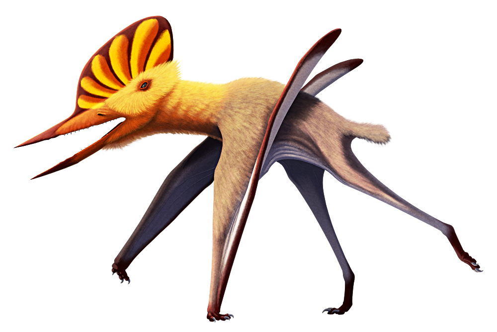 Explore the Best Pterodactyloidea Art