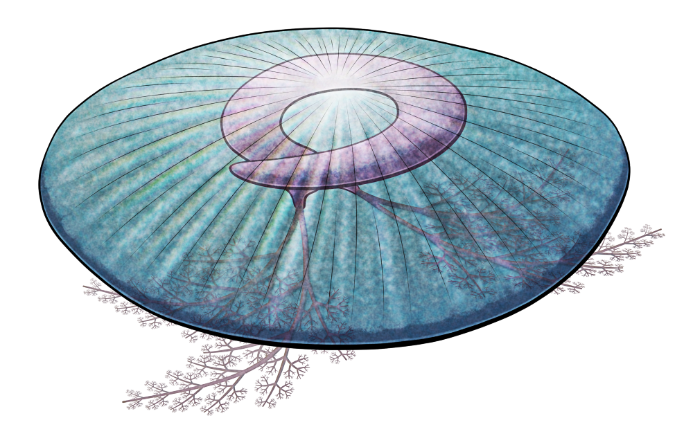 A colored line drawing of Discophyllum, an extinct relative of echinoderms and acorn worms. It has a domed jellyfish-like body with a coiled worm-like sac inside, with branching tentacles growing from one end. It's depicted as mostly a translucent blue, with the coiling part a more pinkish color.