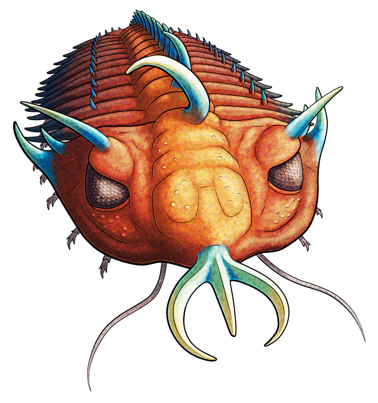 A colored line drawing of Walliserops, an extinct trilobite. It resembles a woodlouse with large compound eyes and a carapace covered in pointy spines. There's a large three-pronged trident-like structure growing from the front of its head. It also has large horn-like spines at the corners of its head shield, over its eyes, and on its forehead, with the forehead spine curving noticeably to its right in a sort of question mark shape. It's depicted as reddish-orange colored, with its spines brighter blue and yellow.