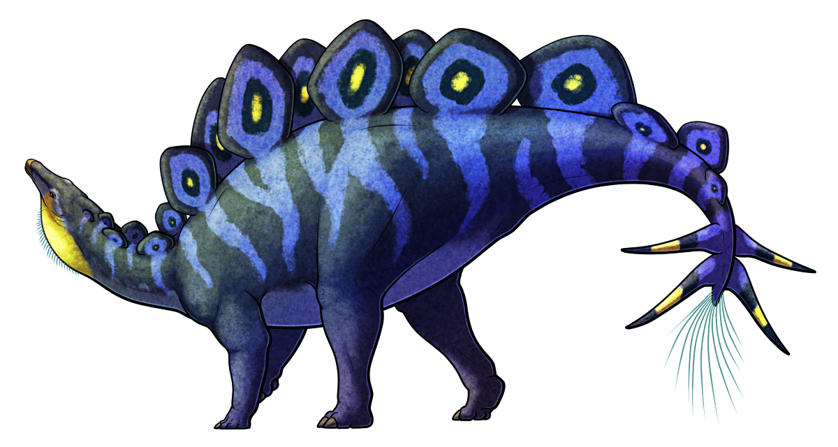 A colored line drawing of the extinct dinosaur Hesperosaurus, a close relative of stegosaurus. It has a small head atop a slender neck, a chunky four-legged body, and a thick tail tipped with four thagomizer spikes. A double row of large upright plates runs along its back, in a staggered alternating pattern on each side. It's depicted with a dark blue color scheme with lighter stripes, yellow eyespot-like markings on its plates and a bright yellow throat. There's also a speculative tassel of hair-like filaments on the tip of its tail.