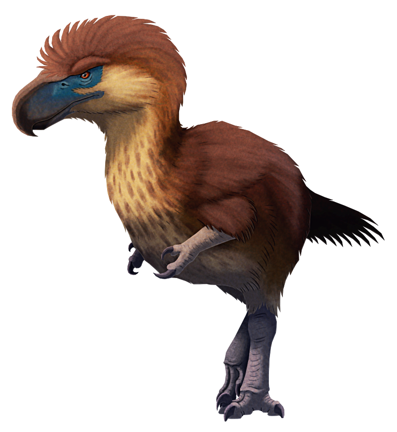 An illustration of an outdated interpretation of the extinct terror bird Titanis. It's a large flightless bird with a big head and a huge eagler-like hooked beak, a long neck, a chunky body, and long thick legs. Instead of feathered wings it's depicted here with clawed scaly arms somewhat like a non-avian theropod dinosaur. It's brown-colored with a paler speckled underside, and a patch of blue skin around its eye.