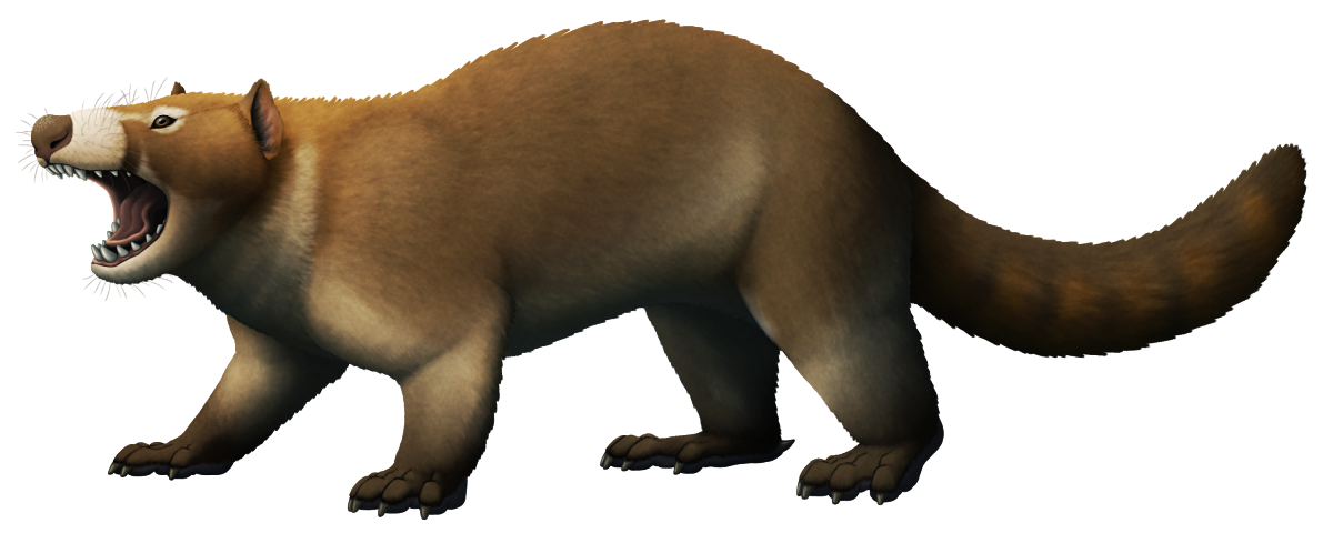An illustration of the extinct mammal Repenomamus robustus. It's a low-slung, stocky, badger-like animal with a thick tail, depicted as colored brown and white. It's shown baring a mouth full of pointed teeth.