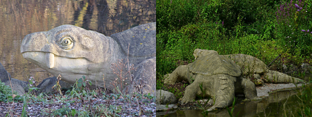 Two photographs of the turtle-like Crystal Palace dicynodont statues when not obscured by dense plant overgrowth. They have toothless beaks, a pair of tusks, sprawling turtle-like bodies with shells, and scaly tails. The picture on the left shows a close-up of the head of one, while the picture on the right shows a view from behind.