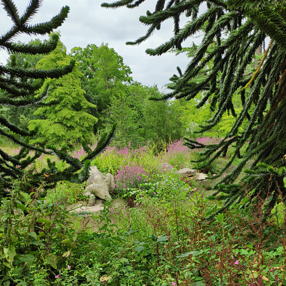 A photograph of the frog-like Crystal Palace "labryrinthodont" statues – or, what little can be seen of them through dense plant overgrowth. The back of one animal can be seen posed as if crawling up out of the water, facing away from the viewer, while the head of another is poking out from behind a small bush.