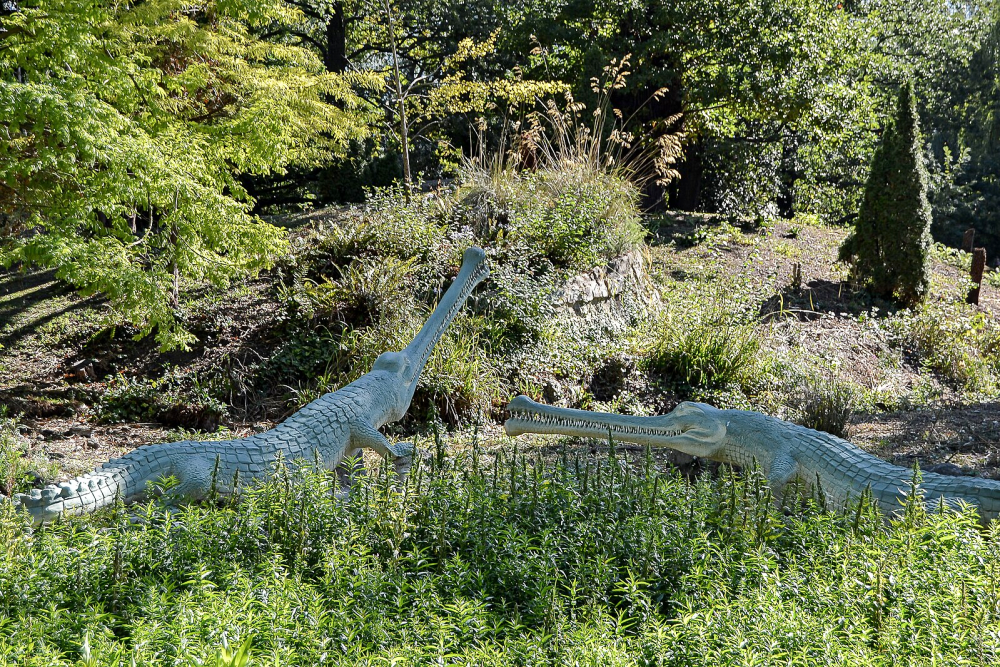 A photograph of the Crystal Palace teleosaurs when not obscured by plant growth. They resemble modern gharials, with long narrow toothy jaws, armored bodies, four small legs, and long scaly tails.