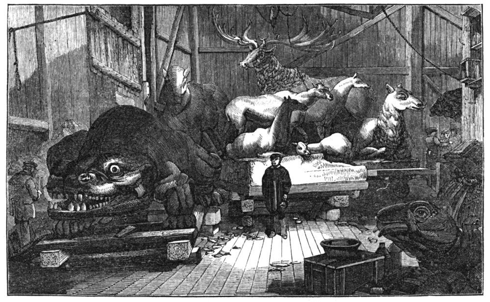 An 1853 illustration of the Crystal Palace sculpture workshop. Several now-missing animals are depicted, including the Palaeotherium magnum off to the left, and the four Xiphodon in front of two of the Megaloceros.