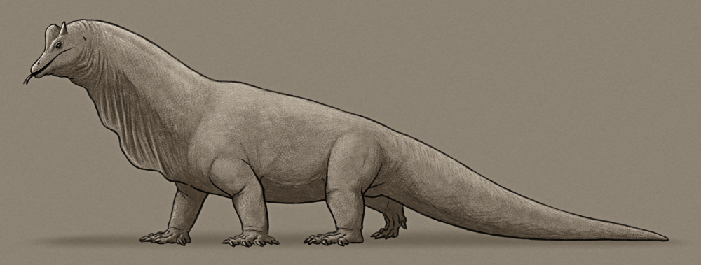 A shaded sketch of a speculative giant lizard descended from tegu. It has a small head with a slender snout, a crest on its head and a small pair of horns behind its eyes. Its neck is long and thick with a hanging fleshy dewlap, a chunky body with a sloping back, four legs in a semi-upright stance, and a long thick tail.
