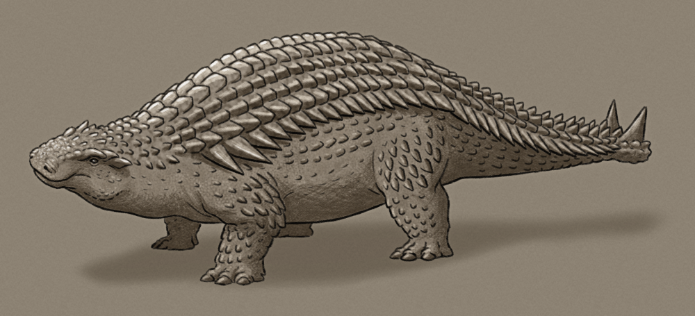 A shaded sketch of a speculative ankylosaur-like animal related to modern crocodilians. It has a chunky body covered in interlocking armor plates, with a row of spikes down each side of its body and a longer pair of upward-pointing spikes on the bulbous tip of its tail. It has four squat legs, also armored, with hoof-like claws, and a short wide snout with large forward-facing nostrils.