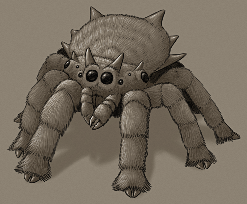 A shaded sketch of a speculative giant herbivorous descendant of jumping spiders. It's a big stocky spider covered in fuzz, with thick legs ending in cloven-hoof-like claws. It has the characteristic large main pair of eyes of jumping spiders, with the other three pairs more spread out around the front and sides of its wide head, and it also has two pairs of "horns". Its abdomen is wide and round, somewhat flattened on the top, with several spiky structures around the edge.