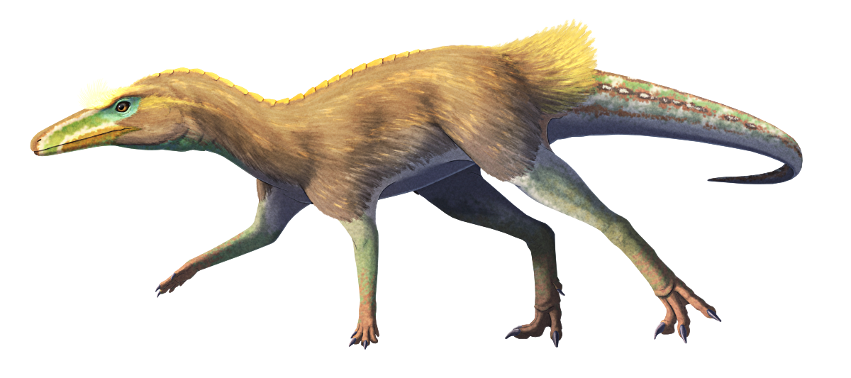 An illustration of Lewisuchus, an extinct reptile closely related to the ancestors of dinosaurs. Its a lightly-built quadrupedal dinosaur-like animal, with a long-snouted triangular head, an s-curving neck, four slender limbs, and a long tapering tail. It's depicted with a speculative coat of fluffy fur-like protofeathers on much of its body, and with a brow, green, and yellow color scheme with horizontal striped markings on its snout and tail.