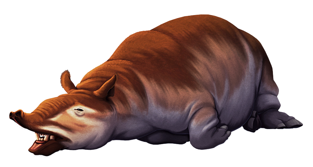 An illustration of Cadurcodon, an extinct tapir-like animal related to modern rhinos. It's depicted laying on the ground with its mouth partially open showing its tusks, and with its short flexible trunk raised. It's colored brown with a darker upper side and paler underside.
