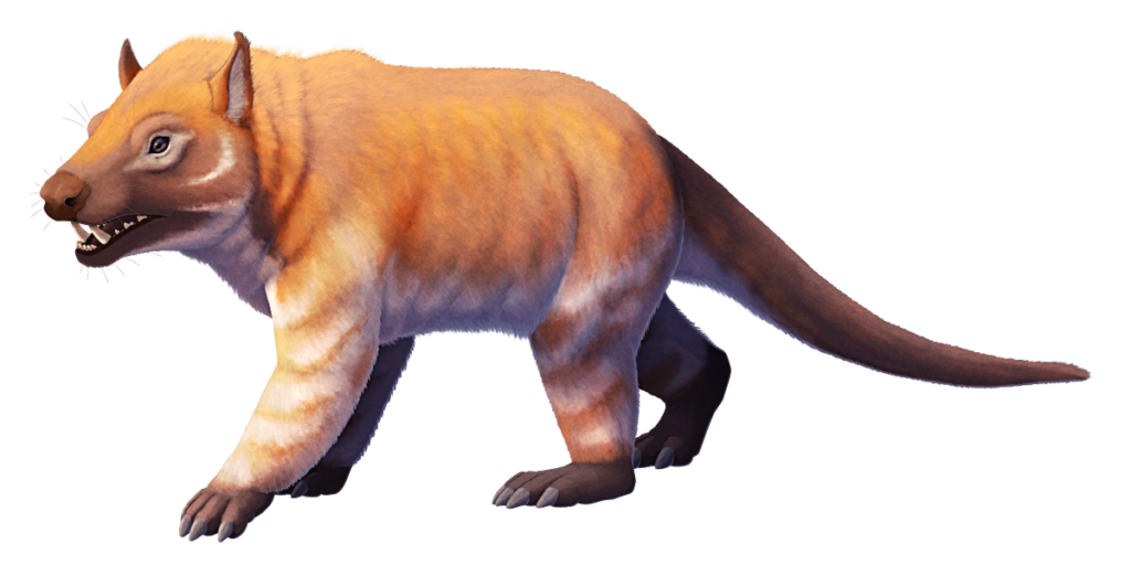 An illustration of Arctocyon, an extinct mammal related to early ungulates. It has a dog-like head with large canine teeth, a stocky bear-like body with plantigrade legs and claw-like hooves, and a long tail. It's reconstructed with an orange-brown pelt with white stripes along its limbs.